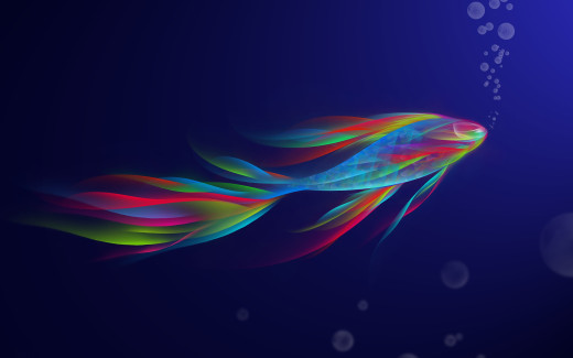 499706 (a): :2560x1600